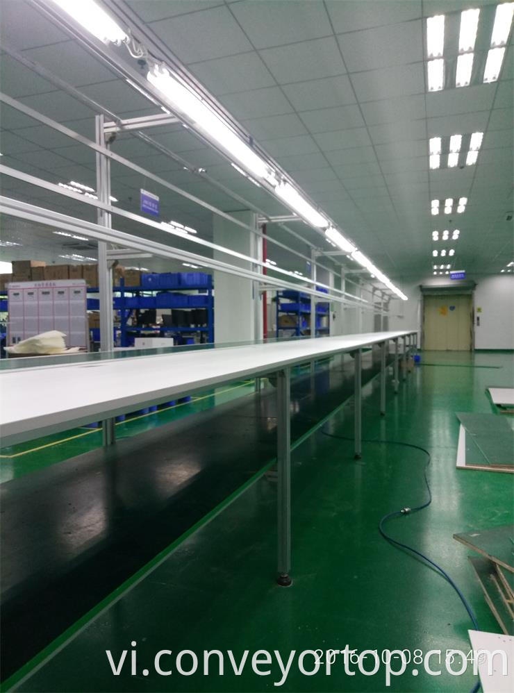 Belt Conveyor System Packing Line